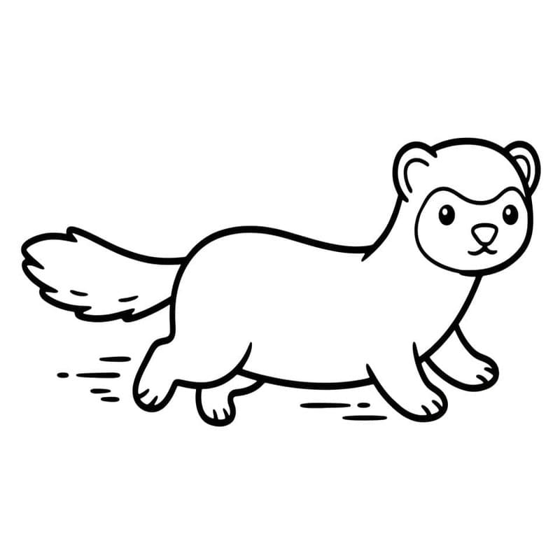 描画 フェレット 印刷可能 ぬりえ