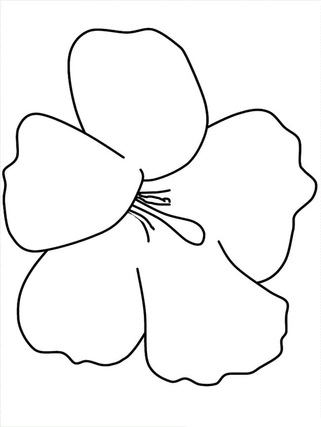 描画 ハイビスカス 印刷可能 ぬりえ