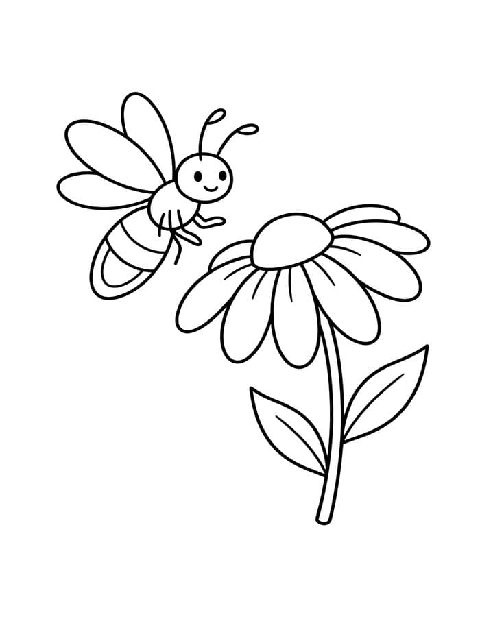 描画 ホタル ぬりえ