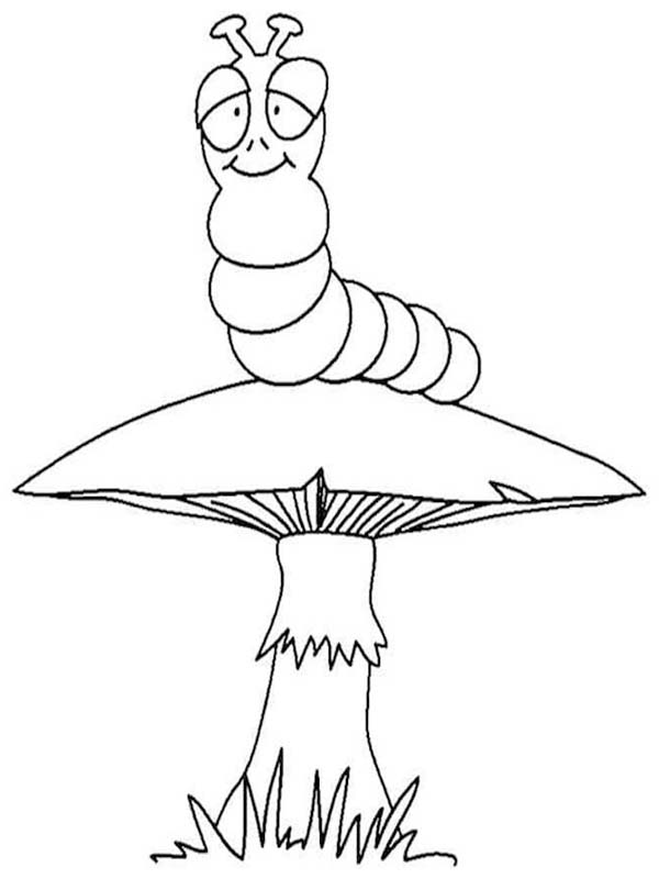 描画 イモムシ 印刷可能 ぬりえ