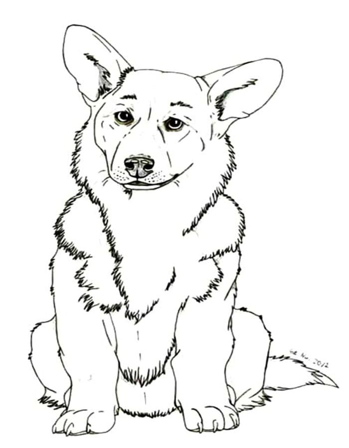 描画 コーギー 印刷可能 ぬりえ