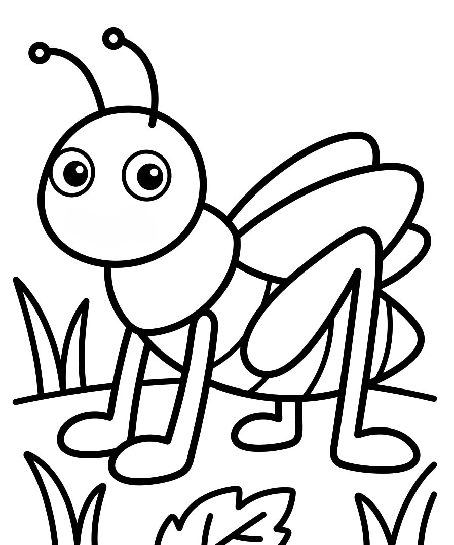 描画 コオロギ 無料 ぬりえ