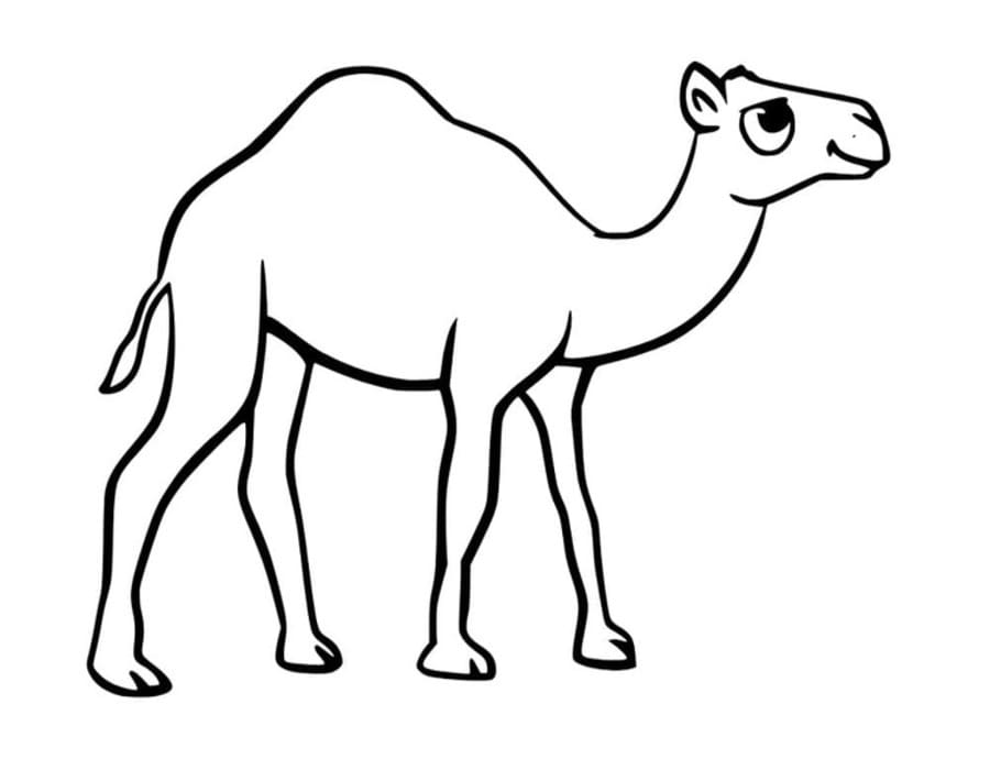描画 キャメル 印刷可能 ぬりえ