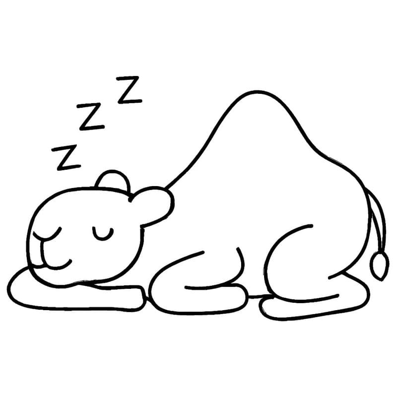 描画 キャメル 無料 ぬりえ