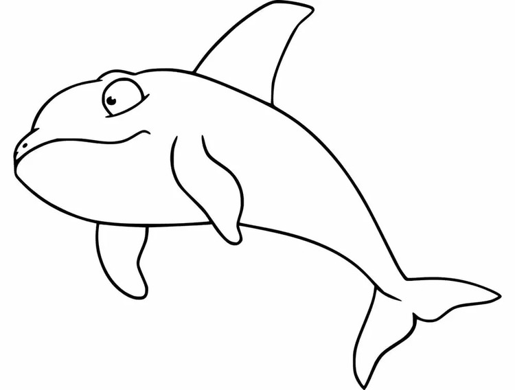 描画 シャチ ぬりえ