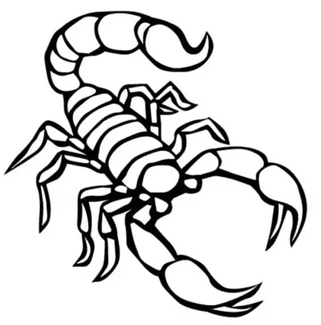 描画 スコーピオン ぬりえ