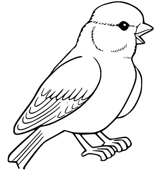 描画 スズメ 印刷可能 ぬりえ