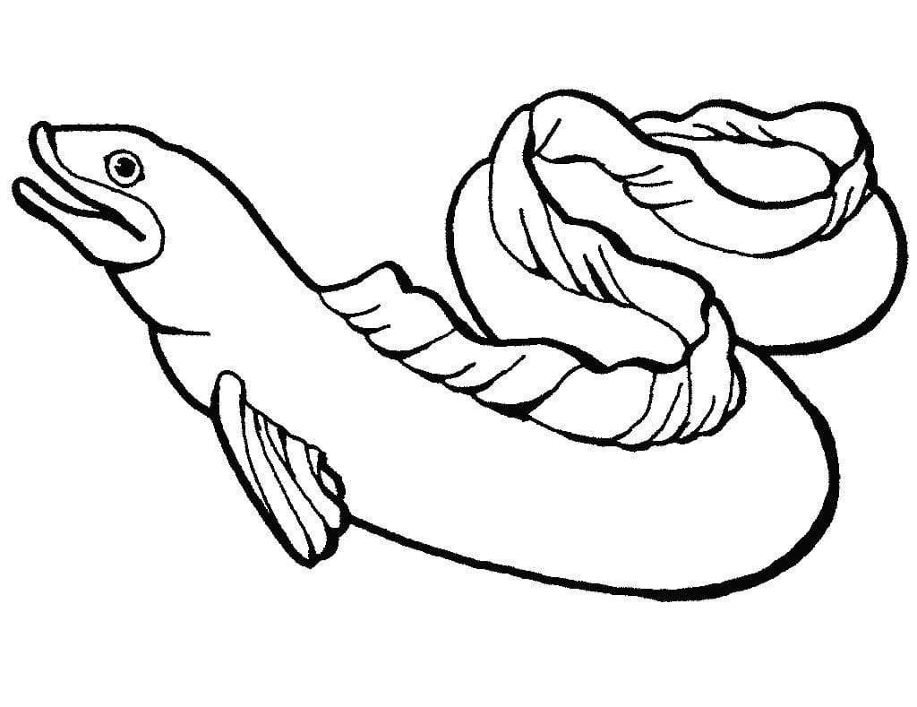 描画 うなぎ 無料 ぬりえ
