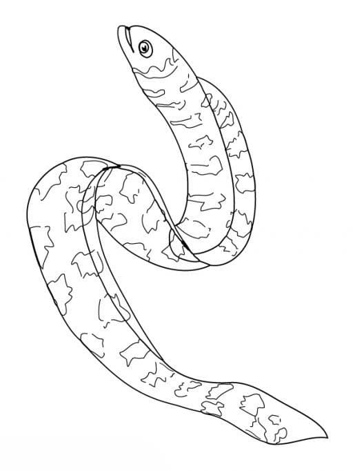 描画 うなぎ ぬりえ