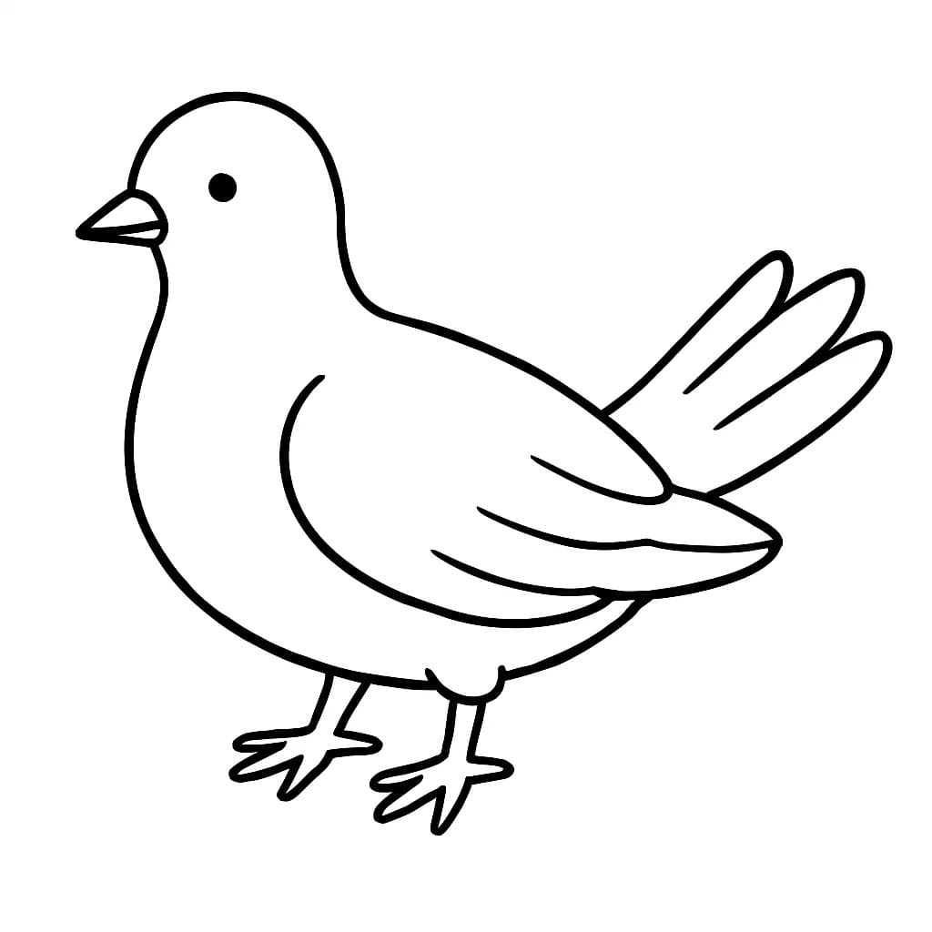 小さな鳩 ぬりえ
