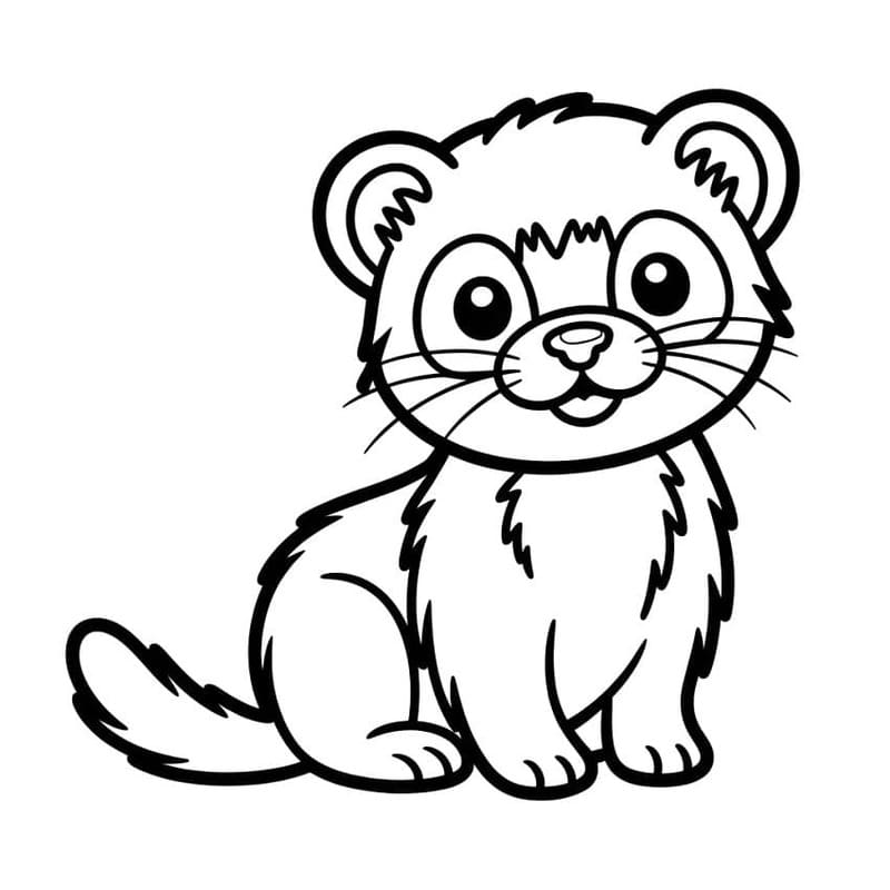 フェレット 描く ぬりえ