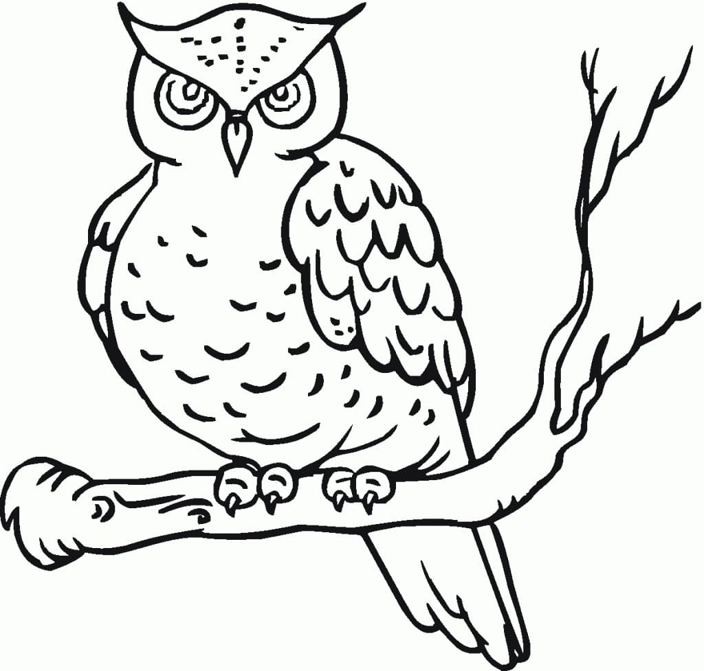 1 (14)フクロウ 6 ぬりえ