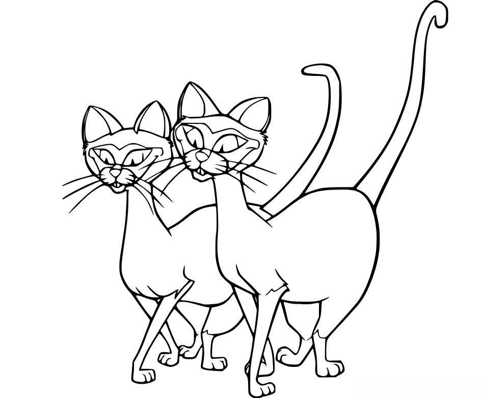 双子猫のシィとアム ぬりえ