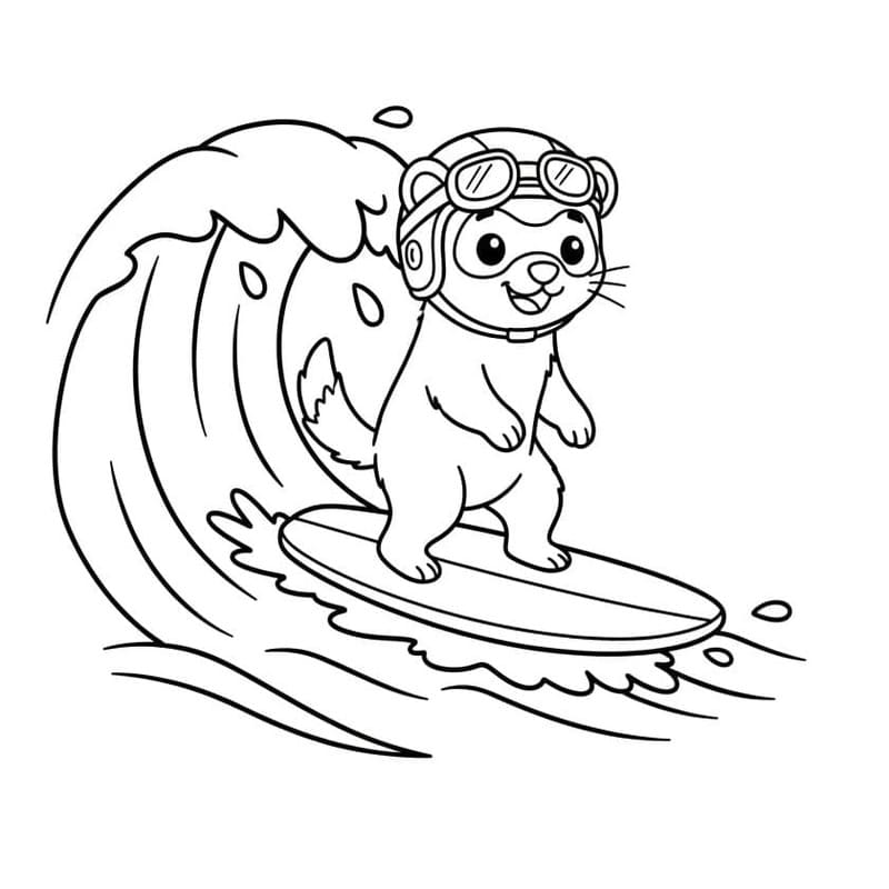画像 フェレット 印刷 ぬりえ