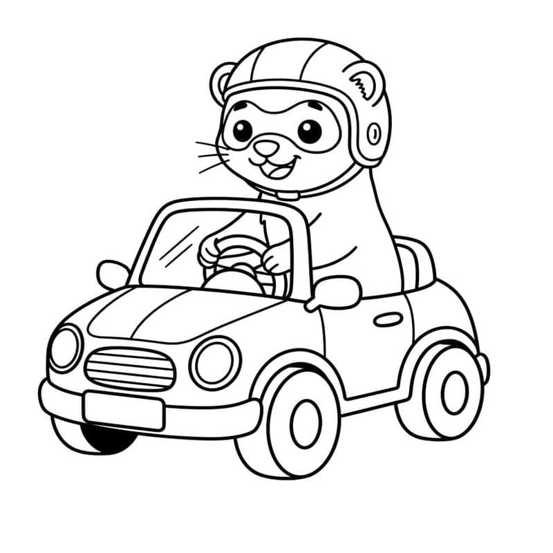 画像 フェレット ぬりえ
