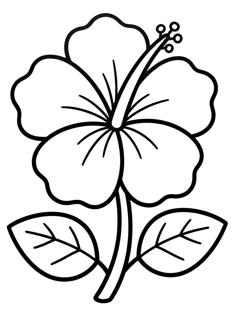 画像 ハイビスカス 印刷 ぬりえ
