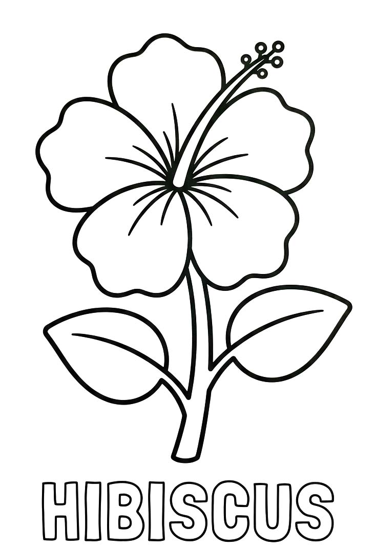 画像 ハイビスカス 簡単 ぬりえ