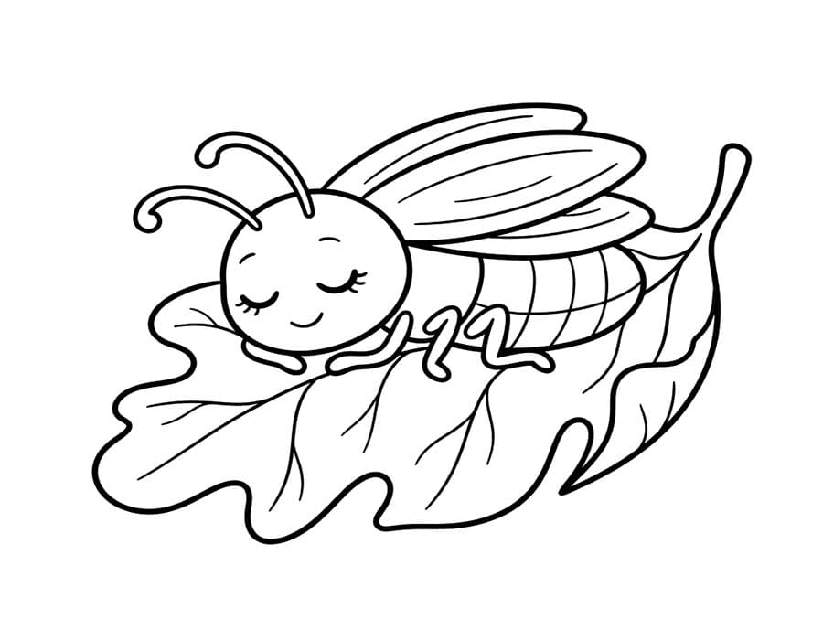 画像 ホタル 基本的な ぬりえ
