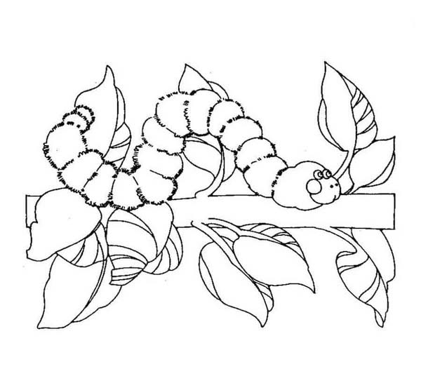 画像 イモムシ 印刷可能 ぬりえ