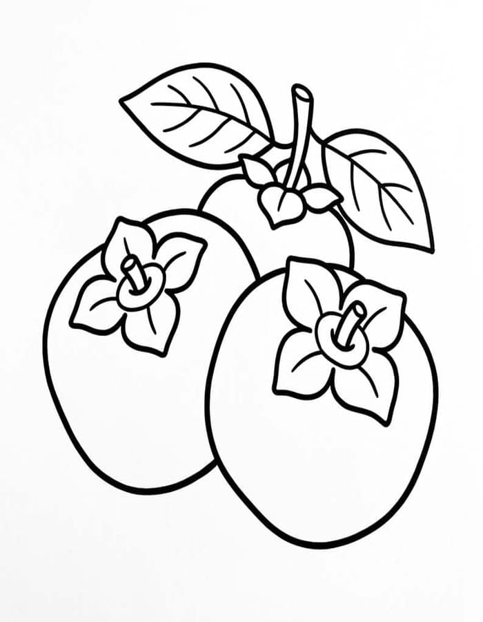 画像 柿の実 基本的な ぬりえ