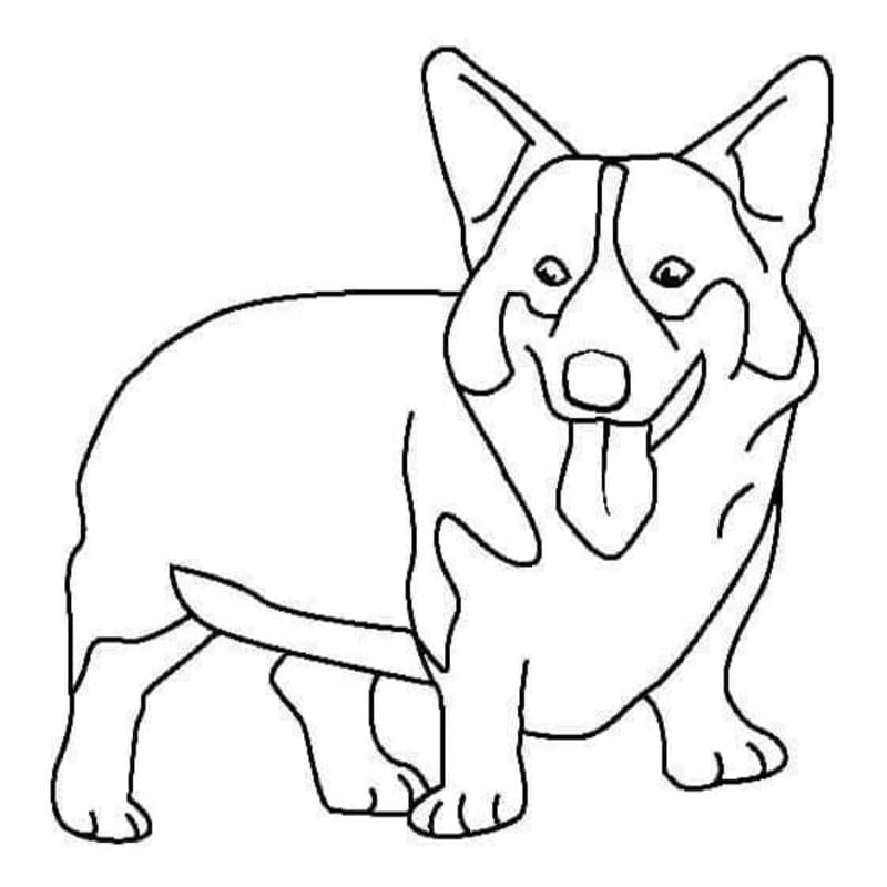 画像 コーギー 基本的な ぬりえ