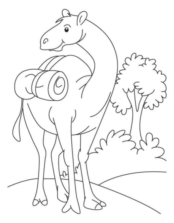画像 キャメル 印刷 ぬりえ