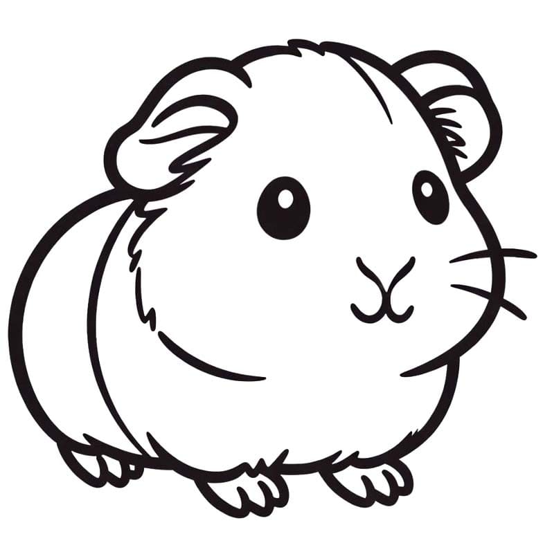 画像 モルモット 印刷 ぬりえ