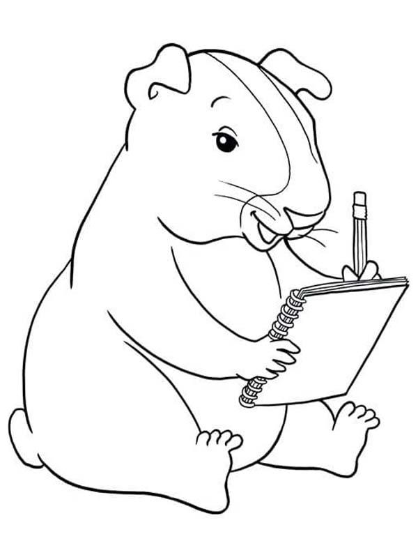 画像 モルモット 簡単 ぬりえ