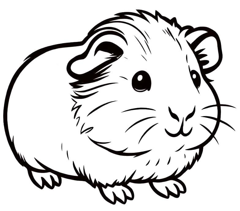 画像 モルモット 基本的な ぬりえ