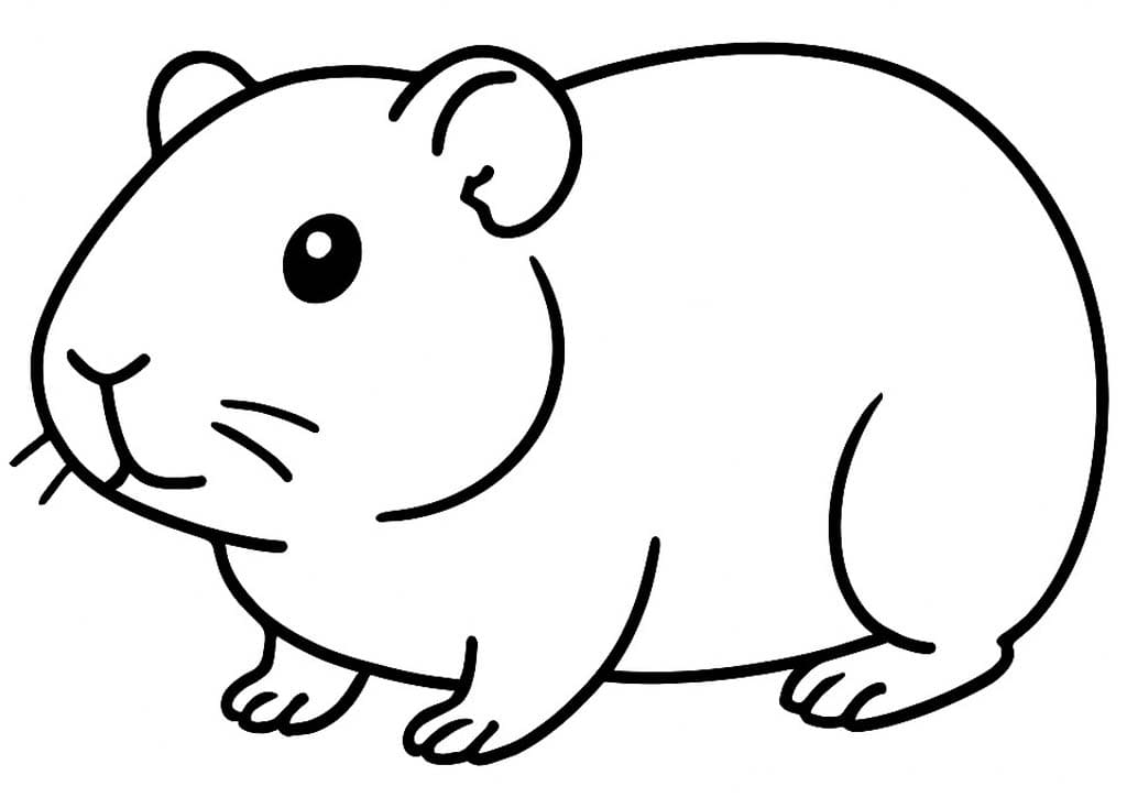 画像 モルモット 単純 ぬりえ