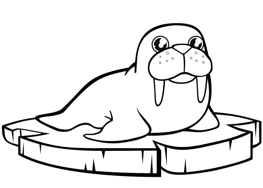 画像 セイウチ ぬりえ