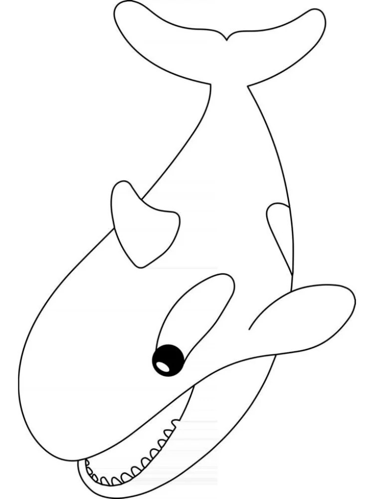 画像 シャチ 無料で印刷可能 ぬりえ