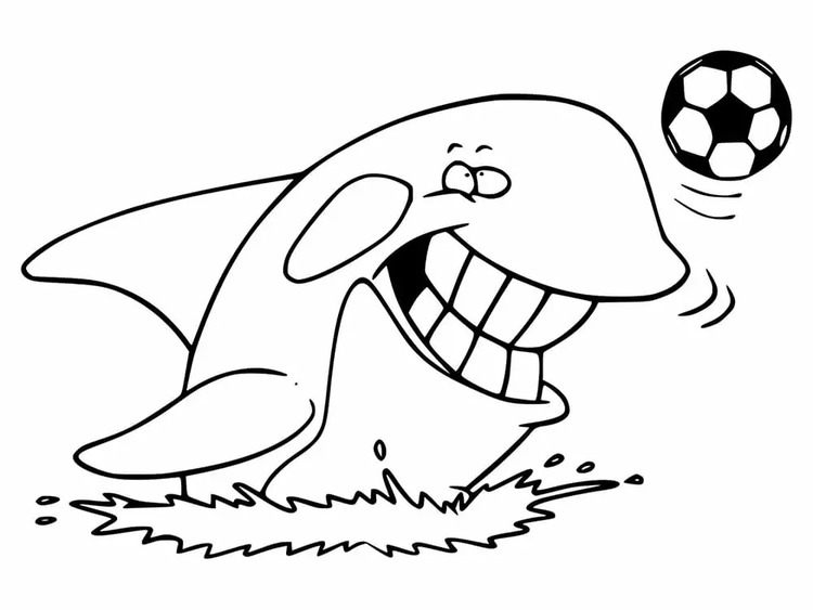 画像 シャチ ぬりえ