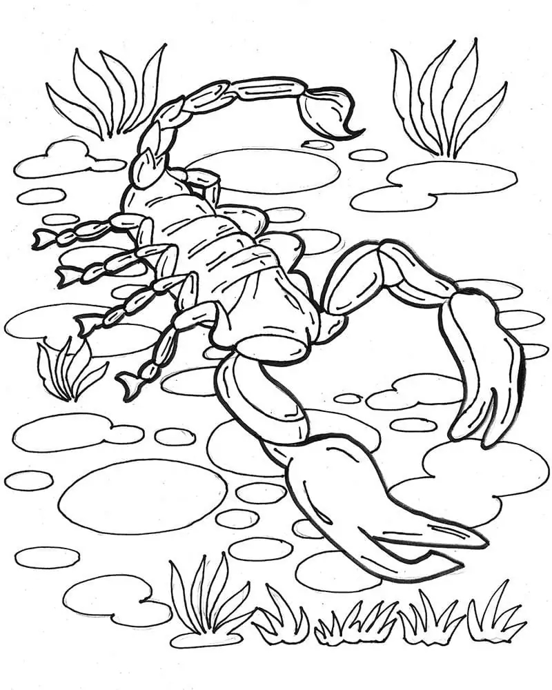 画像 スコーピオン 簡単 ぬりえ