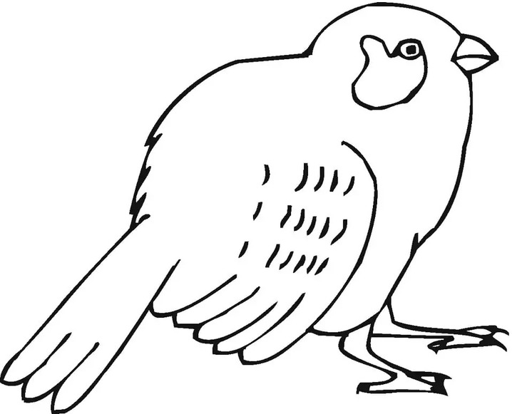 画像 スズメ 無料で ぬりえ