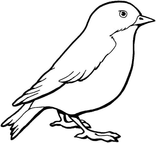 画像 スズメ 無料 ぬりえ