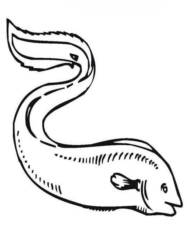 画像 うなぎ 印刷 ぬりえ