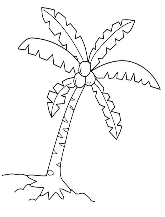 画像 ヤシの木 印刷 ぬりえ