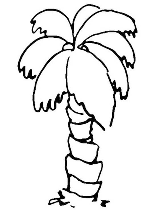 画像 ヤシの木 単純 ぬりえ