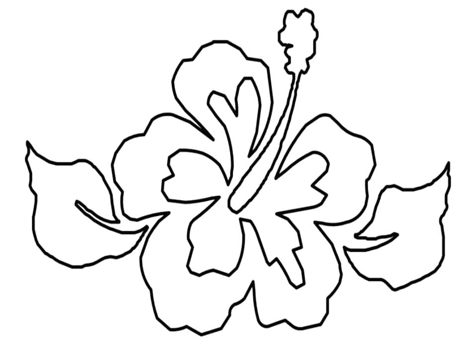 ハイビスカス 描画 ぬりえ