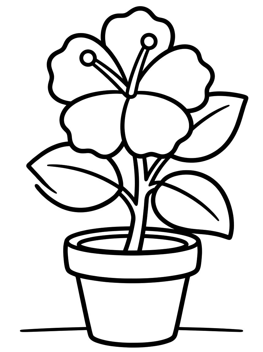 ハイビスカス 描く ぬりえ