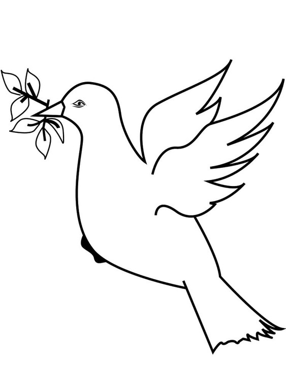 鳩 愛の ぬりえ