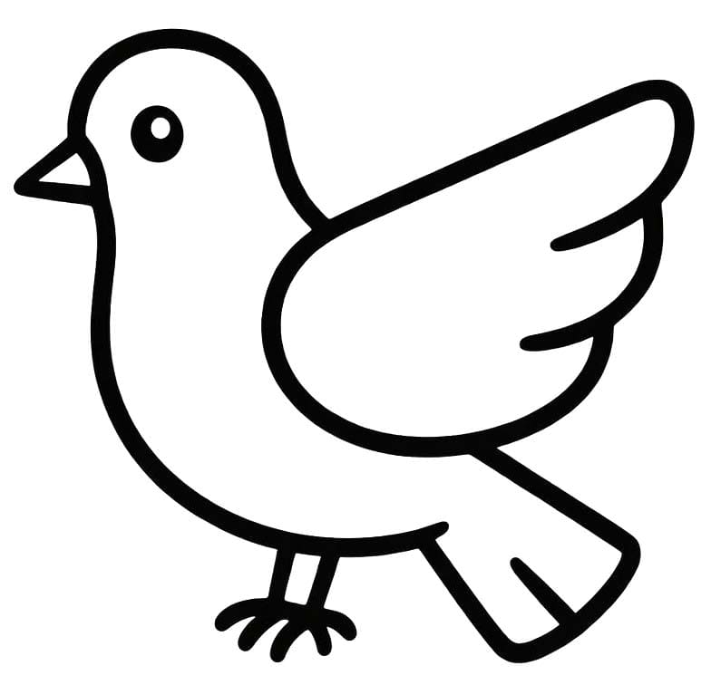 鳩 画像描画 ぬりえ