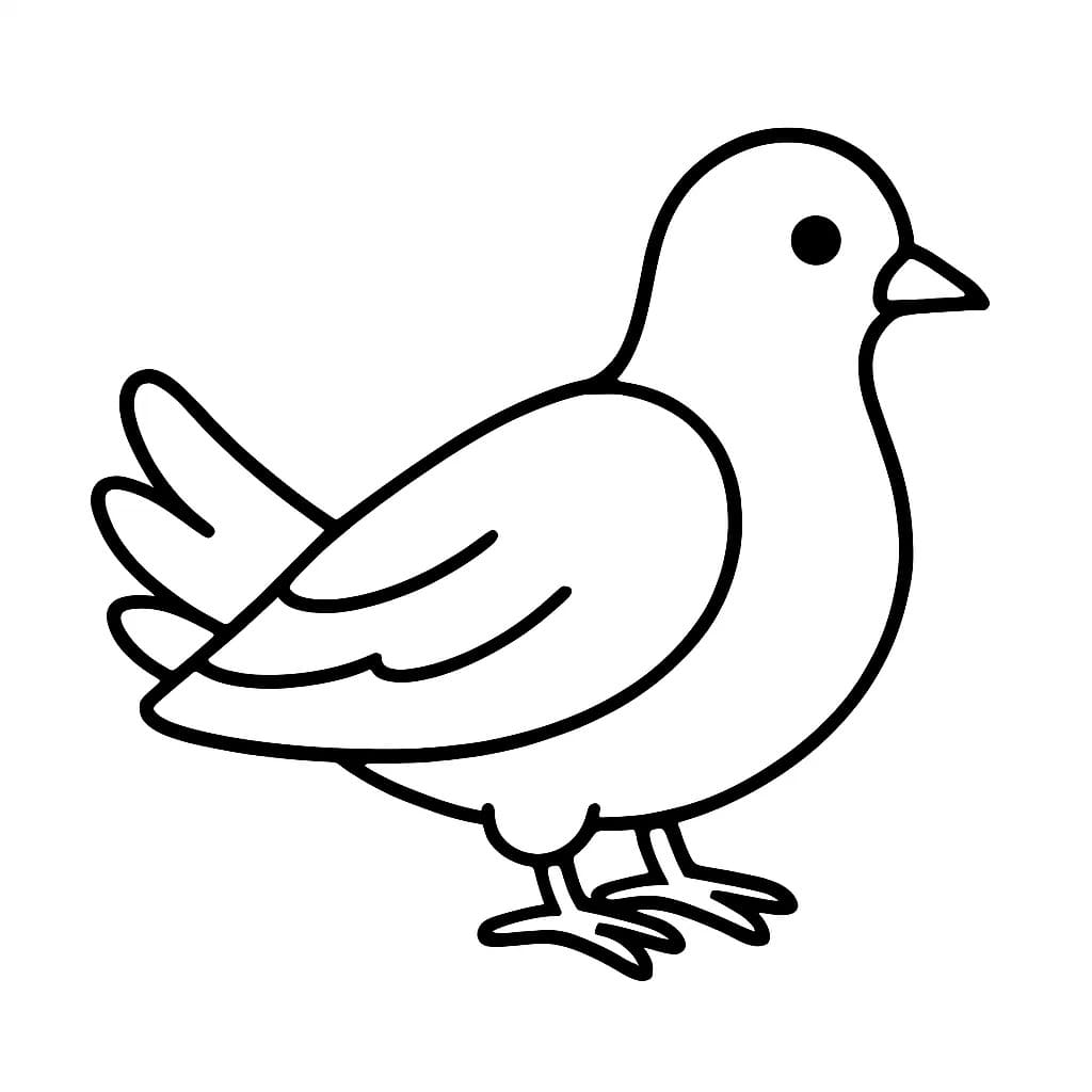 鳩 子供向け ぬりえ