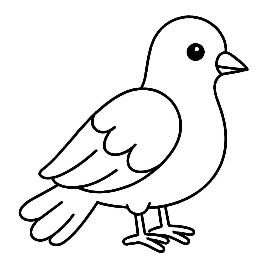 鳩のイラスト ぬりえ