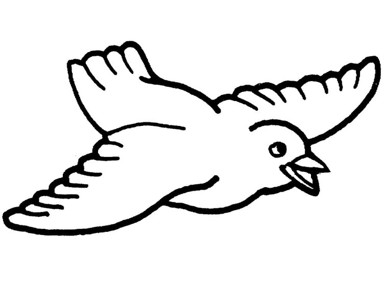 鳩 大きな ぬりえ