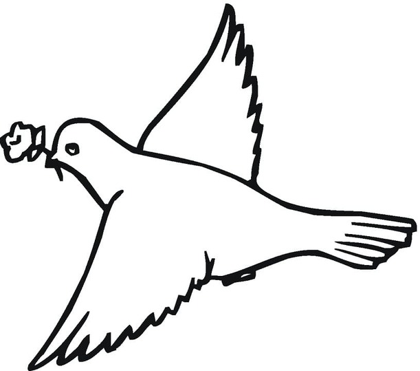 鳩と花 ぬりえ