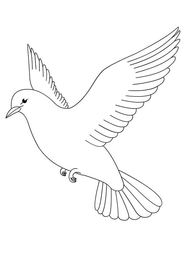 鳩 飛ぶ ぬりえ