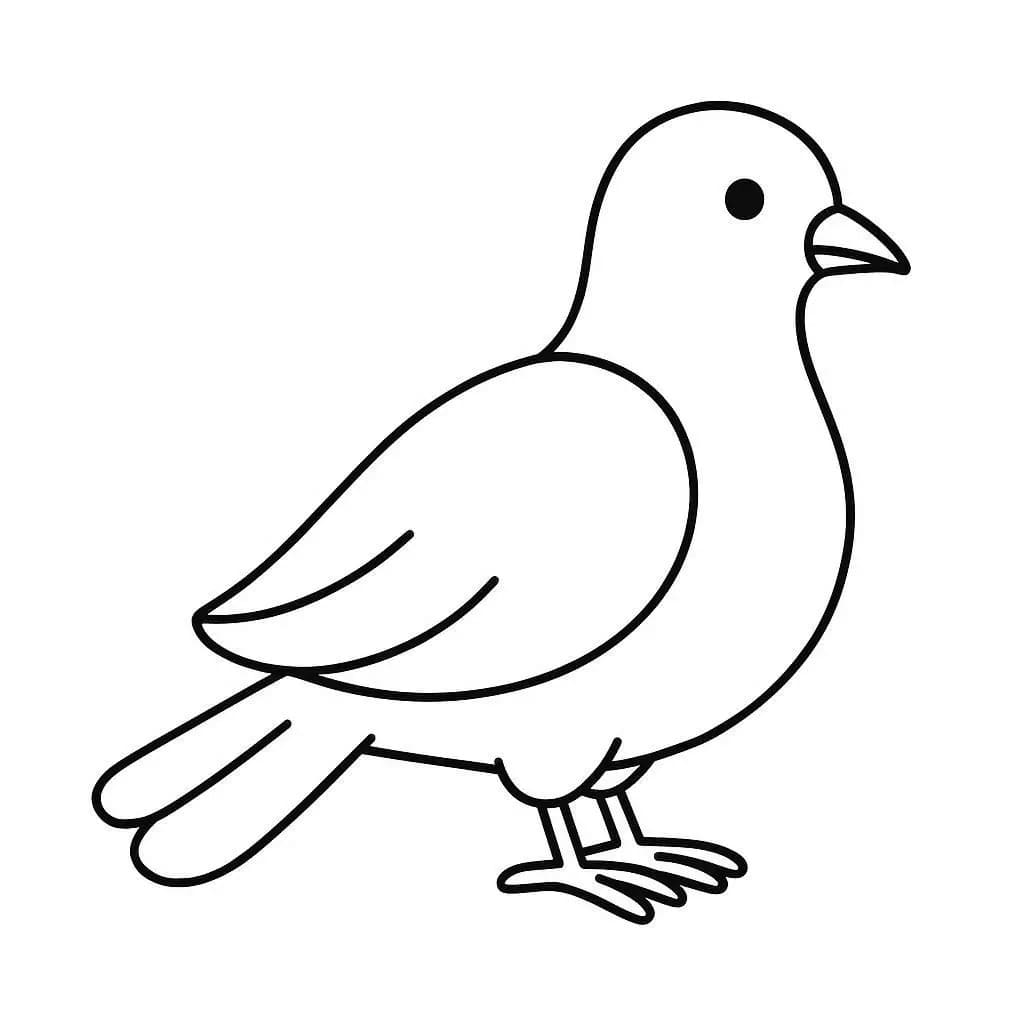 鳩 幼児向け ぬりえ