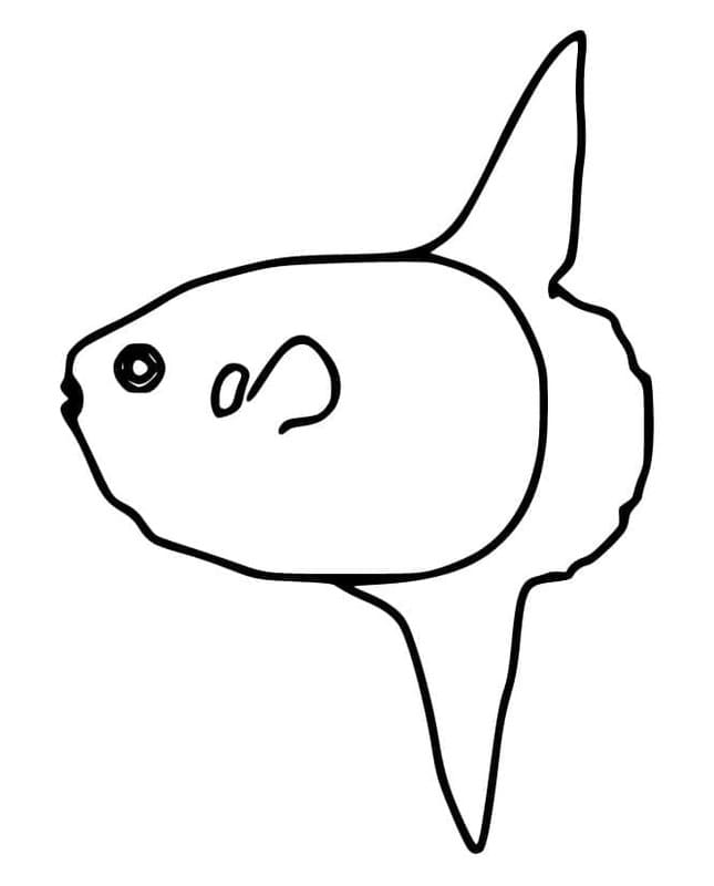 非常にシンプルなマンボウ ぬりえ
